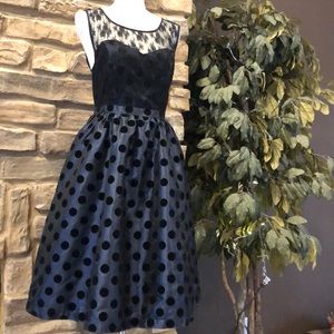 ModCloth fit and flare dress satin tulle mesh L